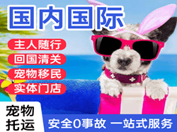 衢州航空货运国际宠物托运 【国